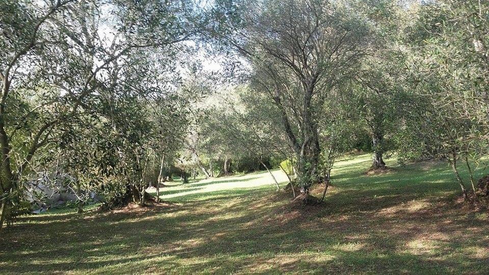 Karamali Green Danilia Villas Gouvia Exteriör bild
